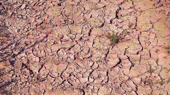 Sécheresse des sols