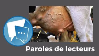 « Pourquoi inventer des vaches qui produisent 25 000 kg de lait alors qu'on arrive pas à trouver des jeunes pour reprendre les élevages laitiers ? », se demande Taxi. (©Terre-net Média) « Pourquoi inventer des vaches qui produisent 25 000 kg de lait alors qu'on arrive pas à trouver des jeunes pour reprendre les élevages laitiers ? », se demande Taxi. (©Terre-net Média)