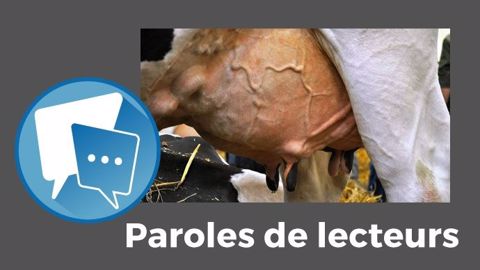 « Pourquoi inventer des vaches qui produisent 25 000 kg de lait alors qu'on arrive pas à trouver des jeunes pour reprendre les élevages laitiers ? », se demande Taxi. (©Terre-net Média) « Pourquoi inventer des vaches qui produisent 25 000 kg de lait alors qu'on arrive pas à trouver des jeunes pour reprendre les élevages laitiers ? », se demande Taxi. (©Terre-net Média)