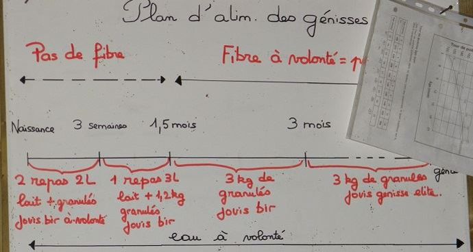 Vu en ferme, afficher les process permet aux salariés de s'y retrouver facilement et éviter les faux-pas.