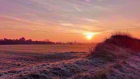 Un risque de gel est à craindre ce week-end dans le nord-est et le centre du pays. (©Pixabay)