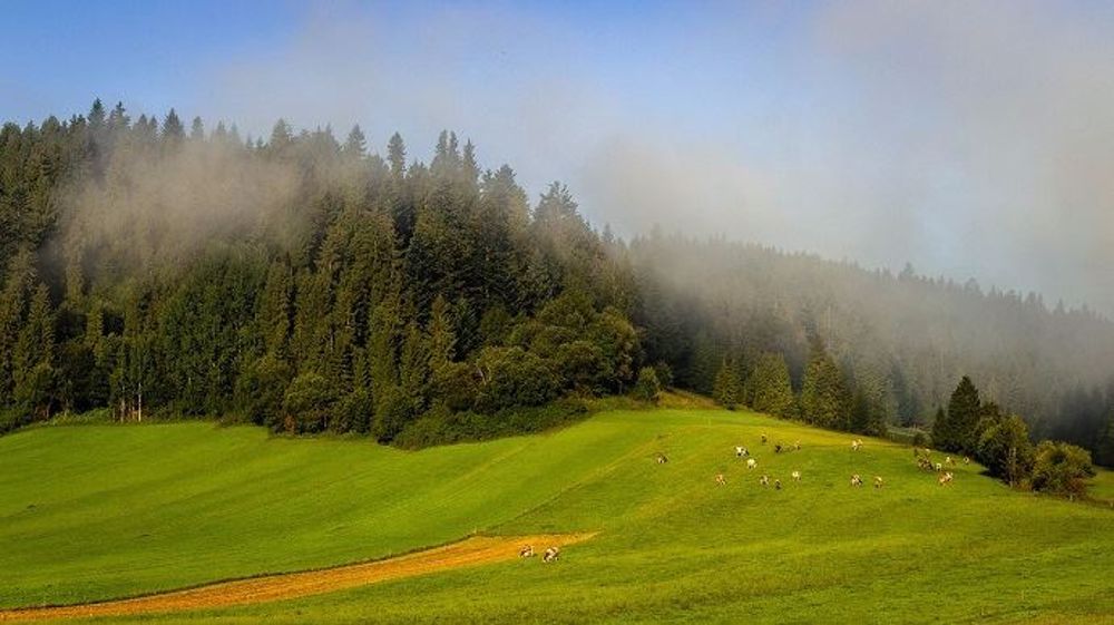 Le projet de recherche et développement AP3C vise à obtenir des informations localisées permettant une analyse fine des impacts du changement climatique sur le Massif central. (©Pixabay)