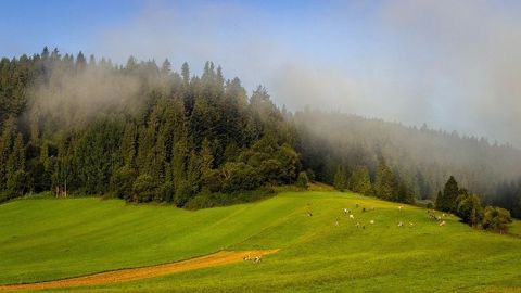 Le projet de recherche et développement AP3C vise à obtenir des informations localisées permettant une analyse fine des impacts du changement climatique sur le Massif central. (©Pixabay) Le projet de recherche et développement AP3C vise à obtenir des informations localisées permettant une analyse fine des impacts du changement climatique sur le Massif central. (©Pixabay)