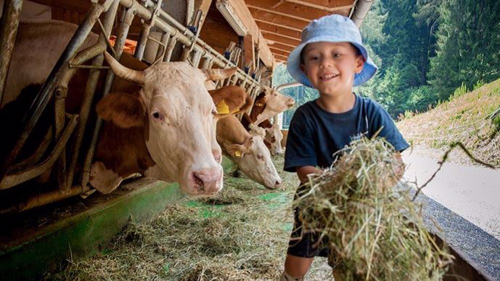   Être éleveur était le rêve de 71,4 % des répondants de ce sondage, mais ne l'est resté que pour 31,3 %.(©Stefano Fotolia)