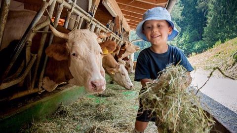 Être éleveur était le rêve de 71,4 % des répondants de ce sondage, mais ne l'est resté que pour 31,3 %.(©Stefano Fotolia) Être éleveur était le rêve de 71,4 % des répondants de ce sondage, mais ne l'est resté que pour 31,3 %.(©Stefano Fotolia)