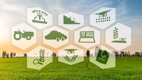 Encore quelques jours pour déposer un projet d'innovation agricole chez Rev'Agro. (©Fotolia) Encore quelques jours pour déposer un projet d'innovation agricole chez Rev'Agro. (©Fotolia)