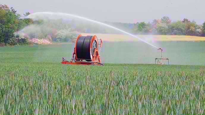 Irrigation blé