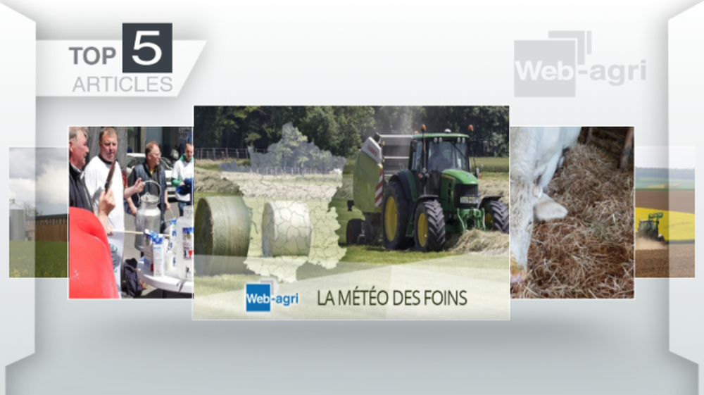 Articles les plus lus sur Web-agri cette semaine. (©Terre-net Média)