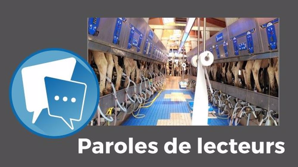 « À qui profitent les grands troupeaux laitiers ? », se demandent plusieurs lecteurs. (©Westerkamp Holsteins // Création Terre-net Média)