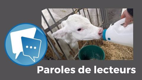 « Eh oui, tous les autres acteurs de la filière bovine se préoccupent de leurs marges !! », s'insurge vivi. (©Agrimom - Christine Aubin) « Eh oui, tous les autres acteurs de la filière bovine se préoccupent de leurs marges !! », s'insurge vivi. (©Agrimom - Christine Aubin)