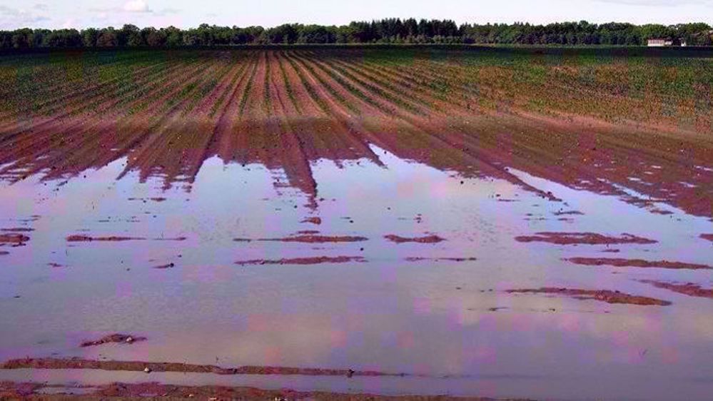 Des pluies intenses retardent les travaux de semis américains (©Pixabay)