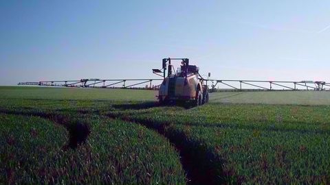 Le retrait de l'epoxiconazole avait été anticipé : « moins de 10 % des surfaces de céréales en France sont protégées cette année avec ce type de fongicide », d'après BASF. (©Terre-net Média)