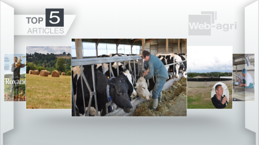 Articles les plus lus sur Web-agri cette semaine. (©Terre-net Média)