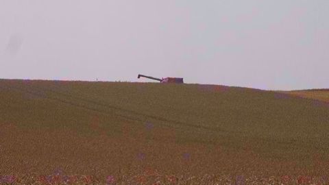 En plus de retarder la moisson, les précipitations diluviennes aux USA pourraient altérer la qualité des récoltes. (©Terre-net Média)