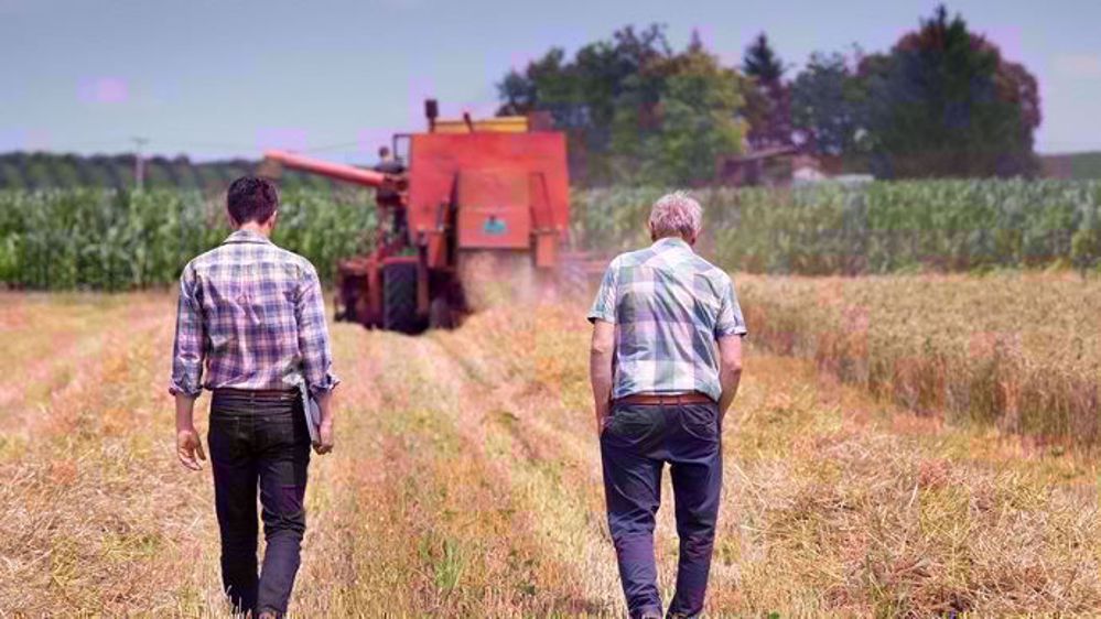 Aujourd'hui, « il y a une installation pour deux à trois départs » d'exploitants à la retraite, indique Pascal Cormery, président de la MSA. (©Fotolia/Budimir Jetvic)