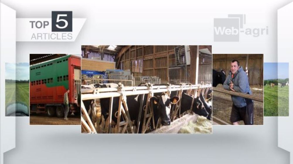 Articles les plus lus sur Web-agri cette semaine. (©Terre-net Média)