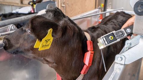 Le système Vital control d'Urban est la combinaison d'un thermomètre et d'un scanner de puce RFID. (©Urban) Le système Vital control d'Urban est la combinaison d'un thermomètre et d'un scanner de puce RFID. (©Urban)