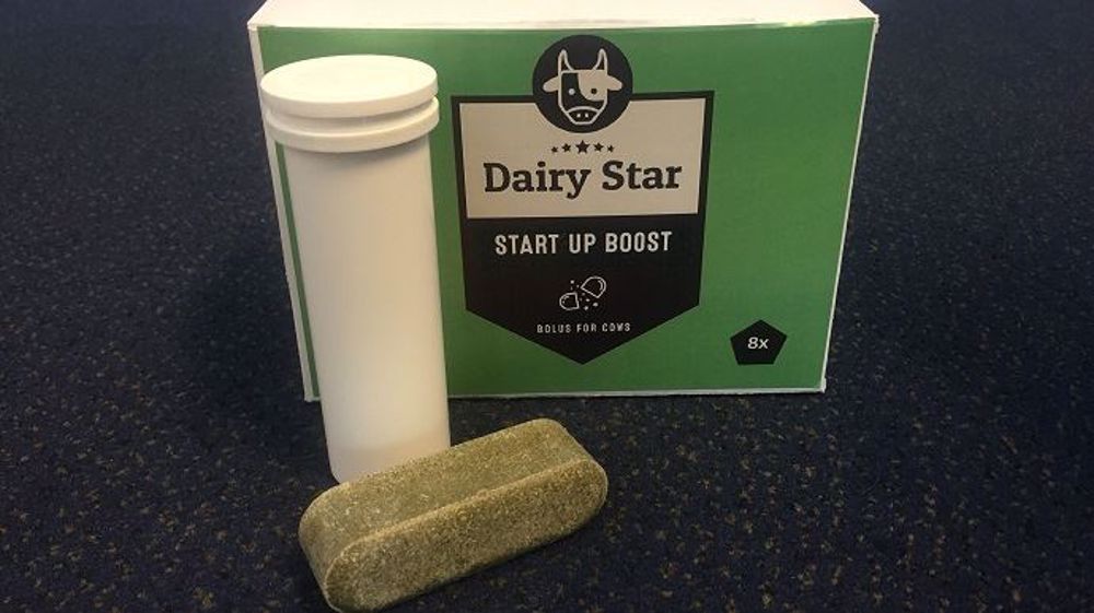 Le bolus Agriprom est à administrer aux vaches en gestation pour éviter la fièvre de lait au vêlage. (©AgripromBV)