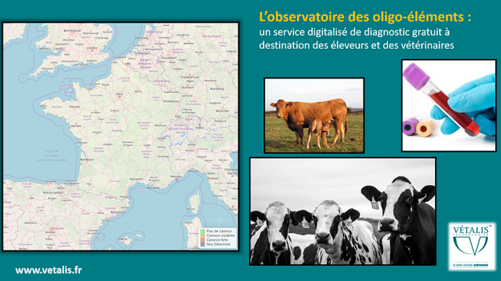 L'observatoire correspond à une géolocalisation des carences bovines en oligo-éléments. (©Vetalis)