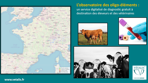 L'observatoire correspond à une géolocalisation des carences bovines en oligo-éléments. (©Vetalis) L'observatoire correspond à une géolocalisation des carences bovines en oligo-éléments. (©Vetalis)