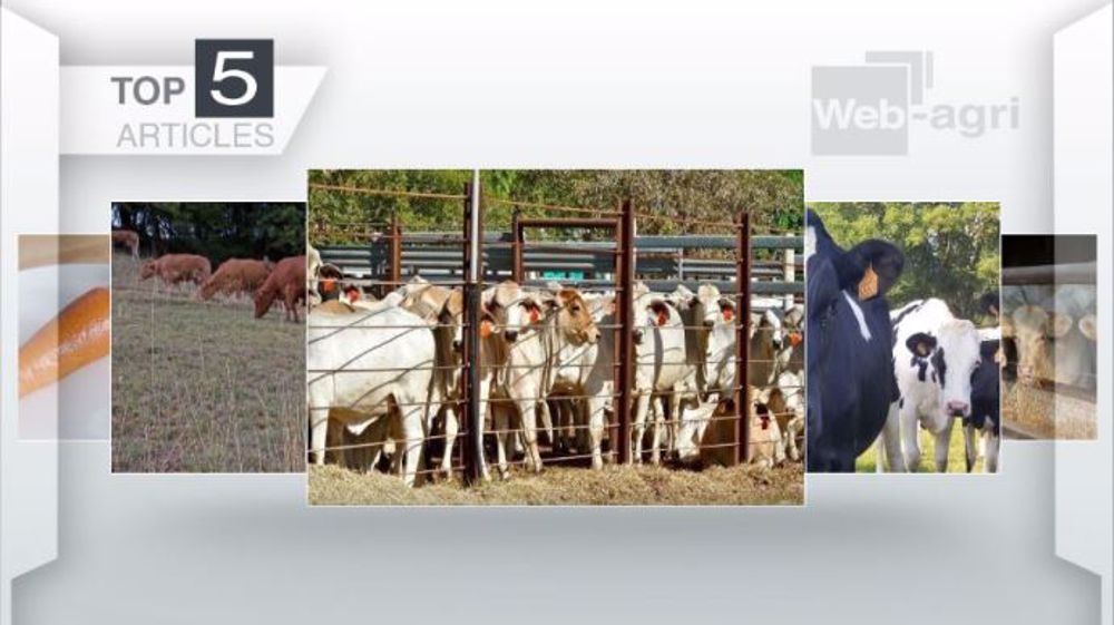 Articles les plus lus sur Web-agri cette semaine. (©Terre-net Média)