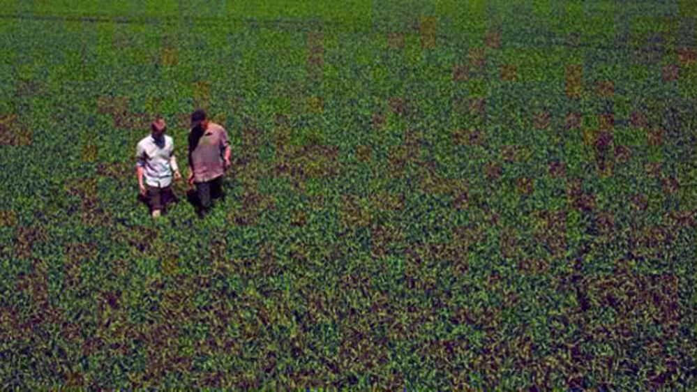 L’agriculteur qui vise à la fois hauts rendements et qualité ne peut pas négliger la fertilisation soufrée.