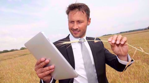 Terre-net recherche un journaliste analyste spécialisé en marchés agricoles. (©goodluz Fotolia) Terre-net recherche un journaliste analyste spécialisé en marchés agricoles. (©goodluz Fotolia)
