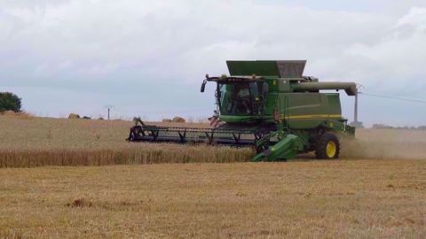  Cette nouvelle baisse du potentiel de production de <a href="https://www.terre-net.fr/marche-agricole/actualite-marche-agricole/article/de-73-a-82-mt-combien-de-tonnes-de-ble-produira-la-russie-1395-149616.html" target="_self">blé russe</a> et de ses capacités à l'export laissent davantage de place aux origines françaises sur le marché mondial. (©Terre-net Média)