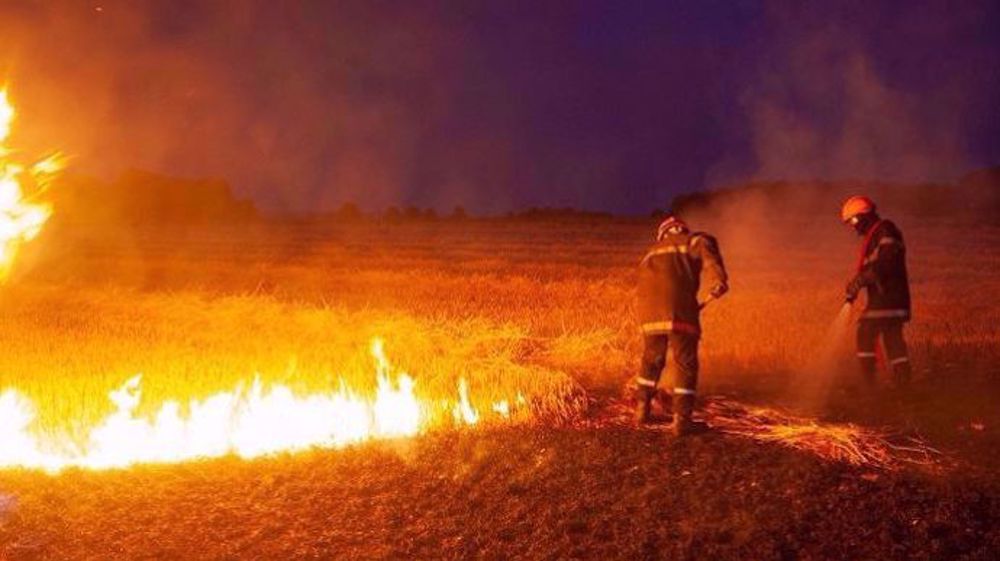 Des milliers d'hectares ont été ravagés par les incendies dans la moitié nord de France à cause de la canicule et de la sécheresse cumulées. (©Sapeurs-pompiers de l'Oise/Aurélien Dheilly)