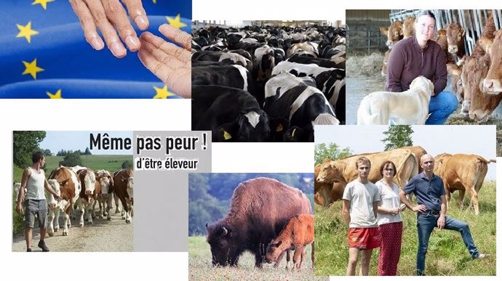  (© Creativa Images, Fotolia, Nathalie Tiers, Cniel, BTPL, Centre d'élevage de Poisy, Miimosa, Nicolas Mahey // Création Terre-net Média)