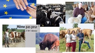 (© Creativa Images, Fotolia, Nathalie Tiers, Cniel, BTPL, Centre d'élevage de Poisy, Miimosa, Nicolas Mahey // Création Terre-net Média) (© Creativa Images, Fotolia, Nathalie Tiers, Cniel, BTPL, Centre d'élevage de Poisy, Miimosa, Nicolas Mahey // Création Terre-net Média)