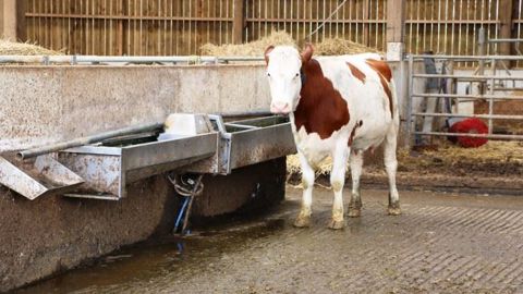 En sortie de stockage, l’eau doit être traitée avant d’entrer dans le circuit de distribution. Ce processus peut être réalisé à partir d’une<strong> </strong>station de chloration ou d’une lampe à ultra-violet. (©Terre-net Média) En sortie de stockage, l’eau doit être traitée avant d’entrer dans le circuit de distribution. Ce processus peut être réalisé à partir d’une<strong> </strong>station de chloration ou d’une lampe à ultra-violet. (©Terre-net Média)