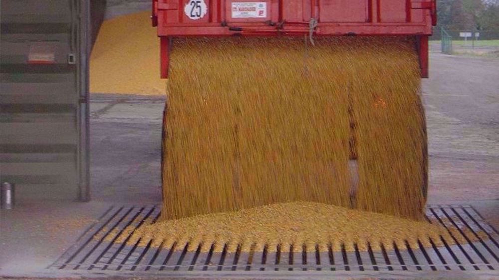 En juin 2019, dernier mois de commercialisation de la campagne 2018-2019, le bilan commercial français n'est pas bon pour le secteur agricole. (©@NegoceExpansion)