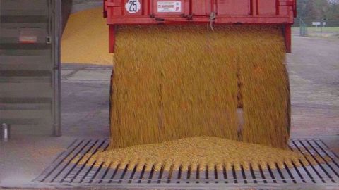 En juin 2019, dernier mois de commercialisation de la campagne 2018-2019, le bilan commercial français n'est pas bon pour le secteur agricole. (©@NegoceExpansion)