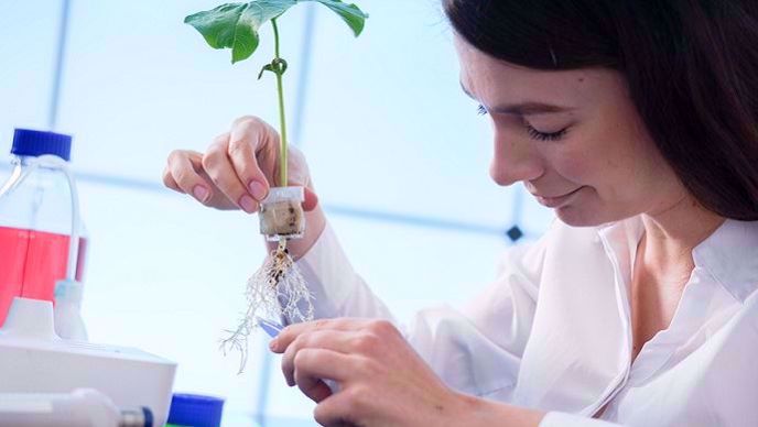 recherche en biotechnologies vegetales