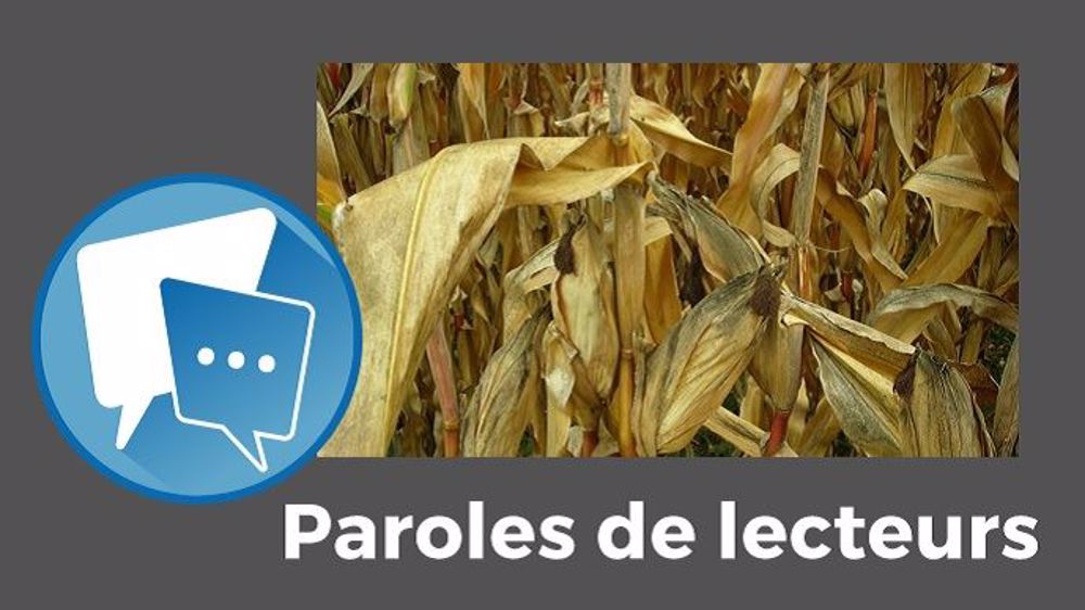  « Les éleveurs n'ont plus qu'à crever dans leur coin, le gouvernement s'en fout ! », lance Lolo. (©Pixabey // Création Terre-net Média)