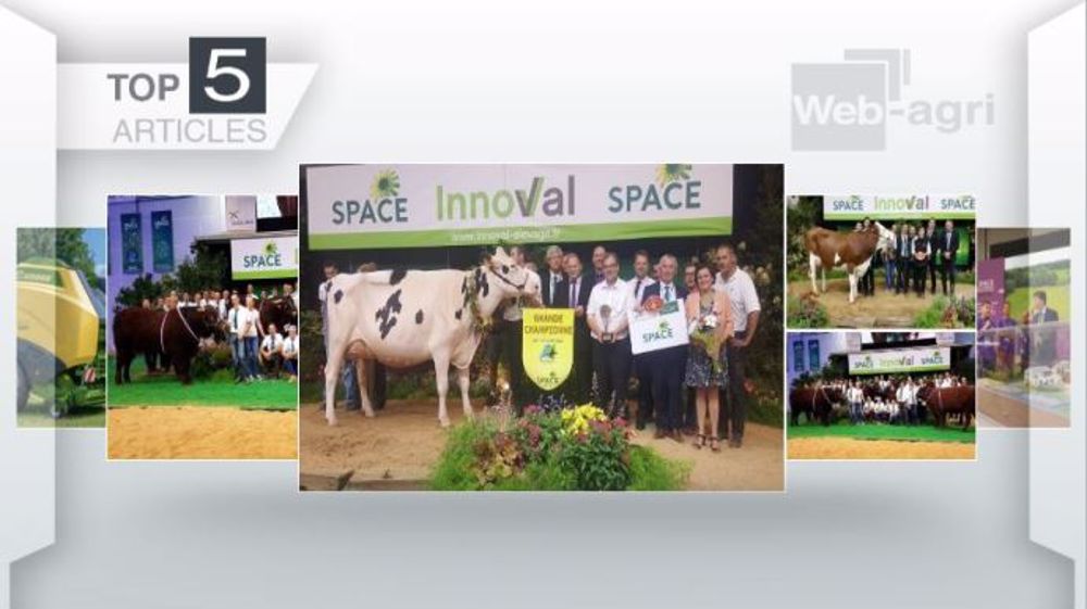 Les articles les plus lus sur Web-agri cette semaine. (©Terre-net Média)