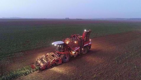 Selon Tereos, le rendement moyen serait de 86 t/ha à 16 %, « inférieur à la moyenne des cinq dernières années ». 