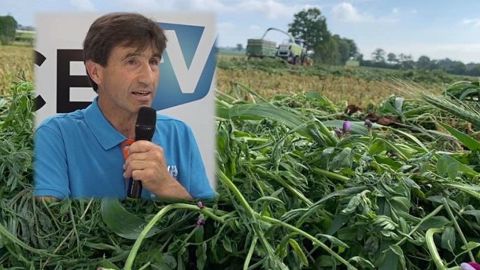 Éleveur de vaches laitières à Bagnole de l’Orne (61), Anton Sidler est aussi co-gérant de La Vache Heureuse, une entreprise qui cherche à informer et divulguer des résultats expérimentaux et savoir-faire du terrain, et propose du conseil individualisé. (©Terre-net Média/LVH) Éleveur de vaches laitières à Bagnole de l’Orne (61), Anton Sidler est aussi co-gérant de La Vache Heureuse, une entreprise qui cherche à informer et divulguer des résultats expérimentaux et savoir-faire du terrain, et propose du conseil individualisé. (©Terre-net Média/LVH)