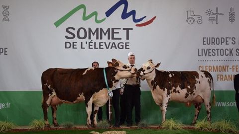 Le concours normand s'est déroulé mercredi 2 octobre 2019.(©Page Facebook La Normande) Le concours normand s'est déroulé mercredi 2 octobre 2019.(©Page Facebook La Normande)