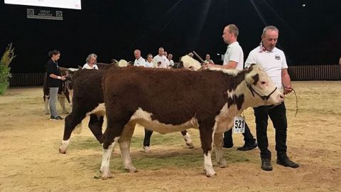 Retrouvez le replay et le palmarès du concours national Hereford