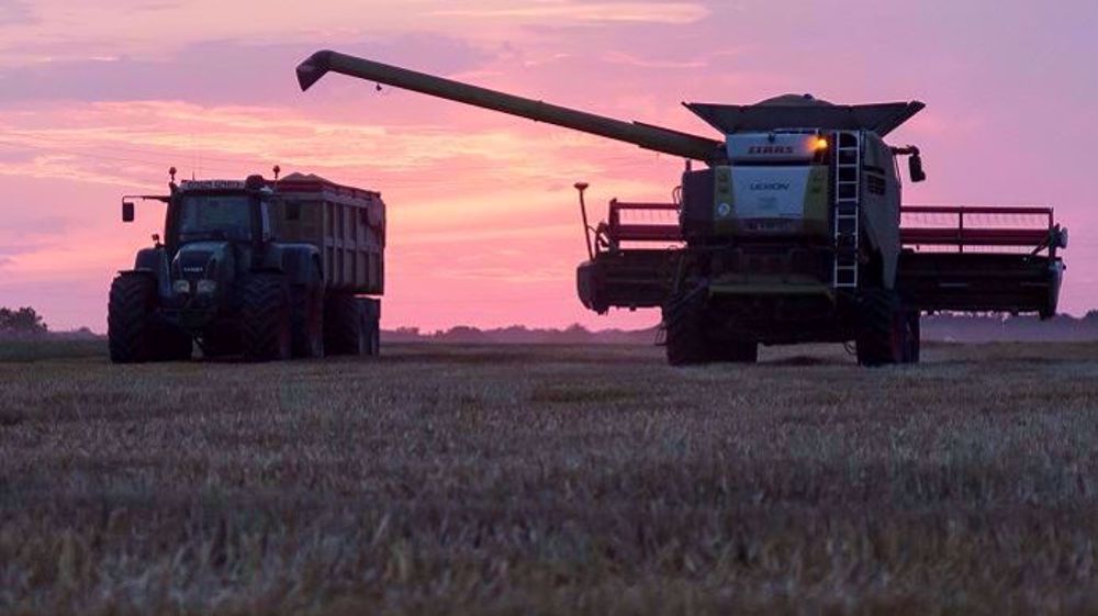 La France a enregistré, en 2019, sa deuxième plus grosse récolte de blé tendre, estimée à 39,5 Mt, contre 40,5 Mt, le record enregistré en 2015. (©Nadège PETIT @agri_zoom)