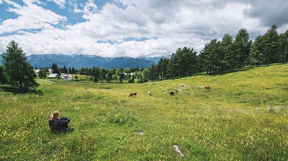 La « situation économique » des acteurs laitiers de montagne est « extrêmement préoccupante », à « un point de rupture », selon le Cniel. (©Pixabay)