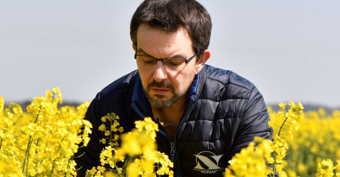 Philippe Pluquet, responsable technique productions végétales de Noriap