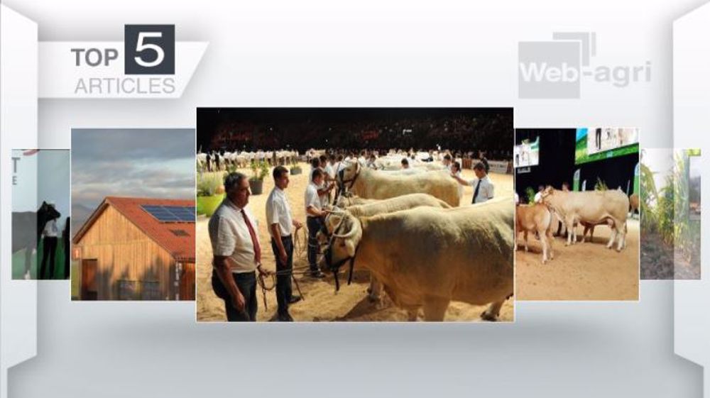 Articles les plus lus sur Web-agri cette semaine. (©Terre-net Média)
