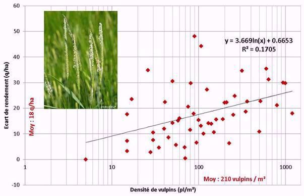 Ecart de rendement au témoin non désherbé en fonction de la densité de vulpins (52 essais de 1981 à 2018)