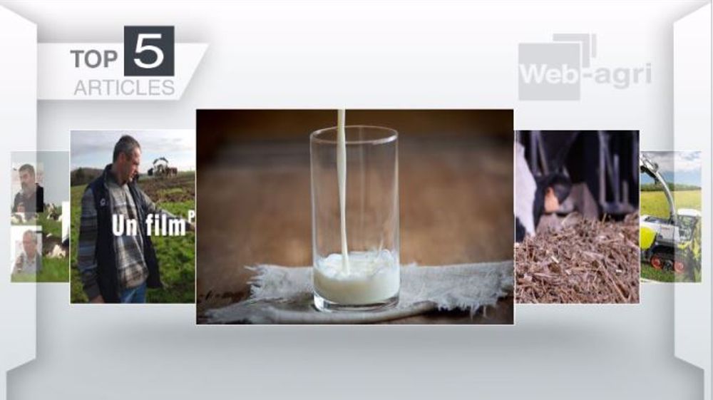 Articles les plus lus sur Web-agri cette semaine. (©Terre-net Média)
