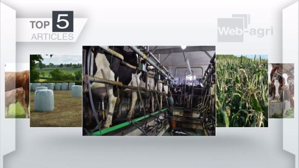 Articles les plus lus sur Web-agri cette semaine. (©Terre-net Média)
