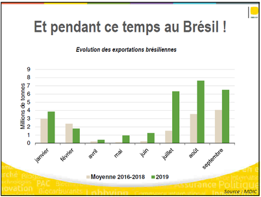 Exportations de maïs brésilien