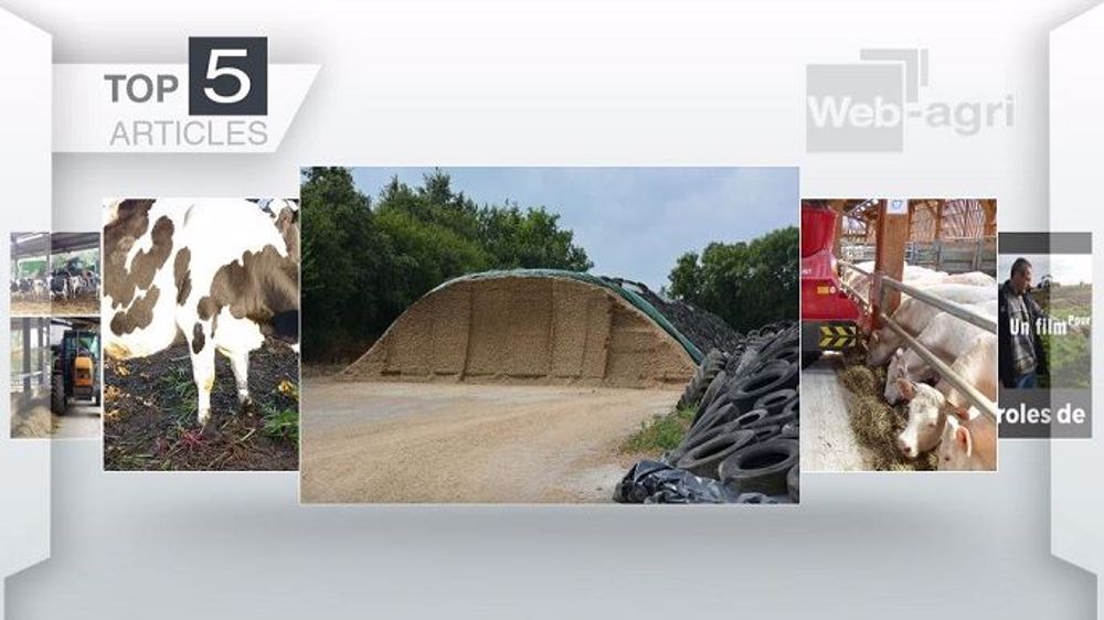 Top articles de Web-agri cette semaine (©Terre-net Média)